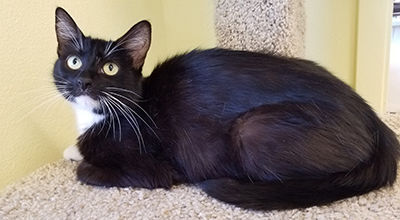 Looking for a Home
